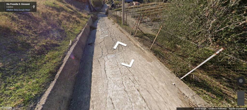 immagine annuncio 10 di 14