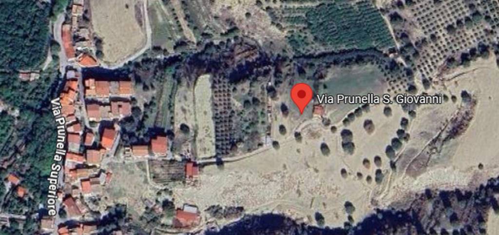 immagine annuncio 12 di 14