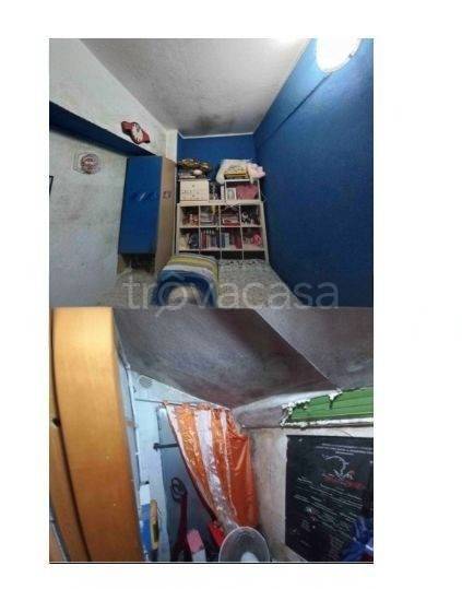 immagine annuncio 9 di 14