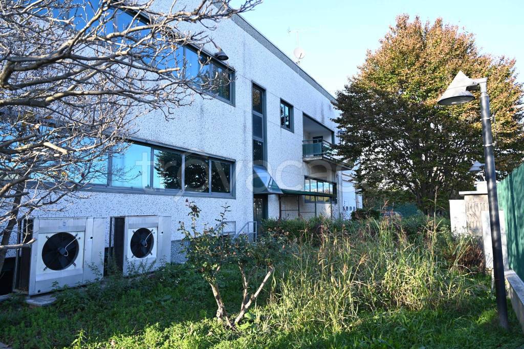 immagine annuncio 8 di 15