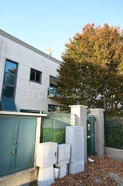 immagine annuncio 10 di 15