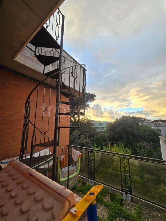 immagine annuncio 4 di 12