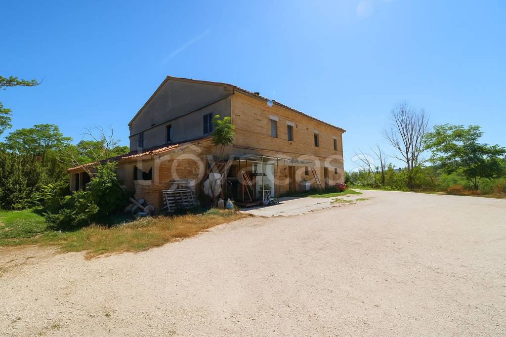 immagine annuncio 13 di 14