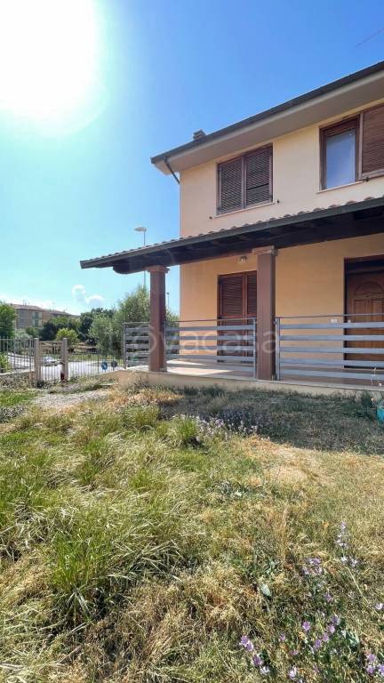 immagine annuncio 2 di 13