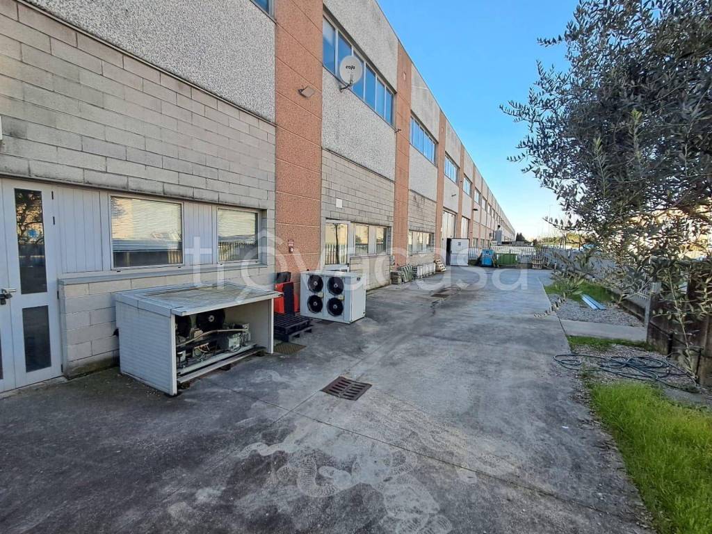 immagine annuncio 13 di 15