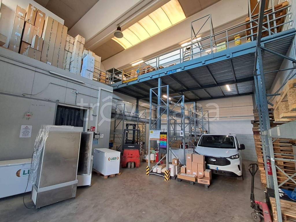 immagine annuncio 3 di 15