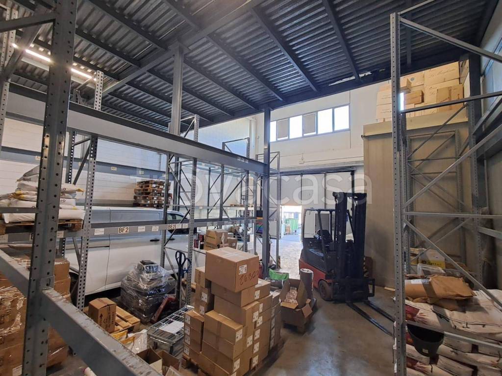 immagine annuncio 4 di 15