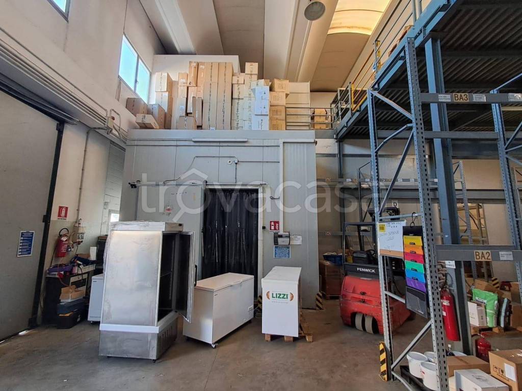 immagine annuncio 10 di 15