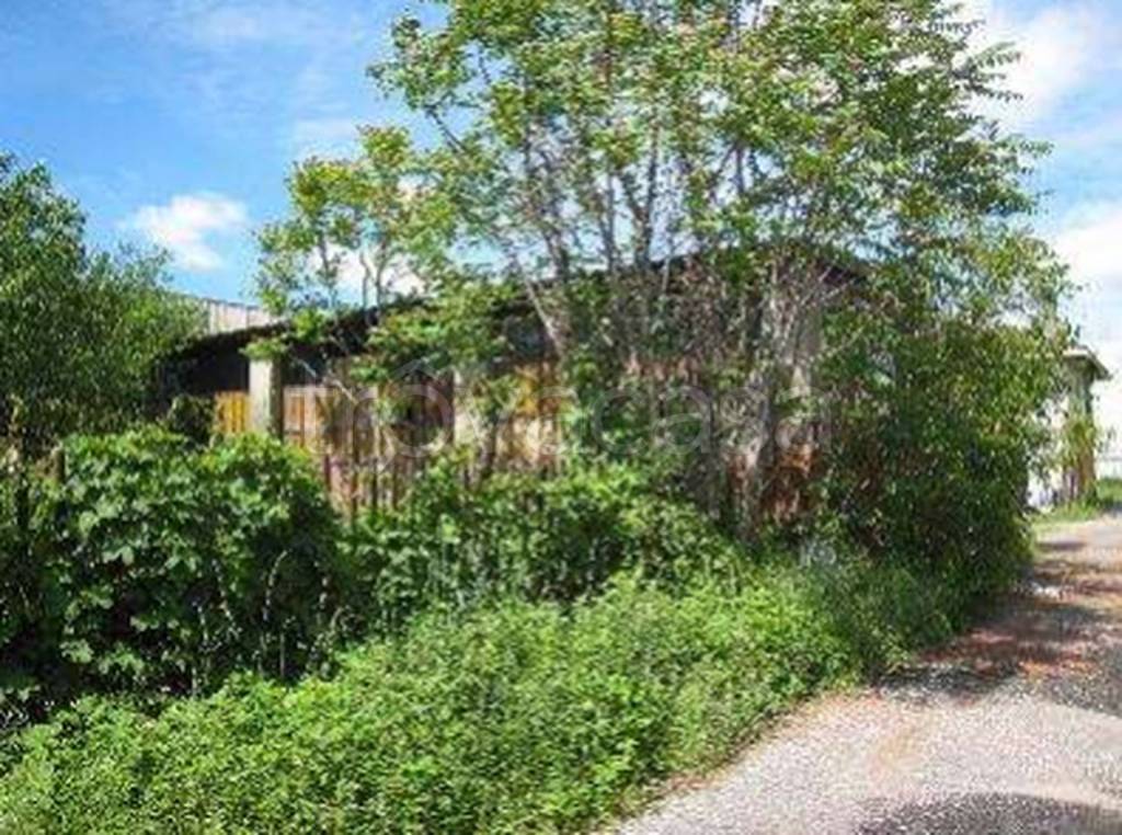 immagine annuncio 1 di 11