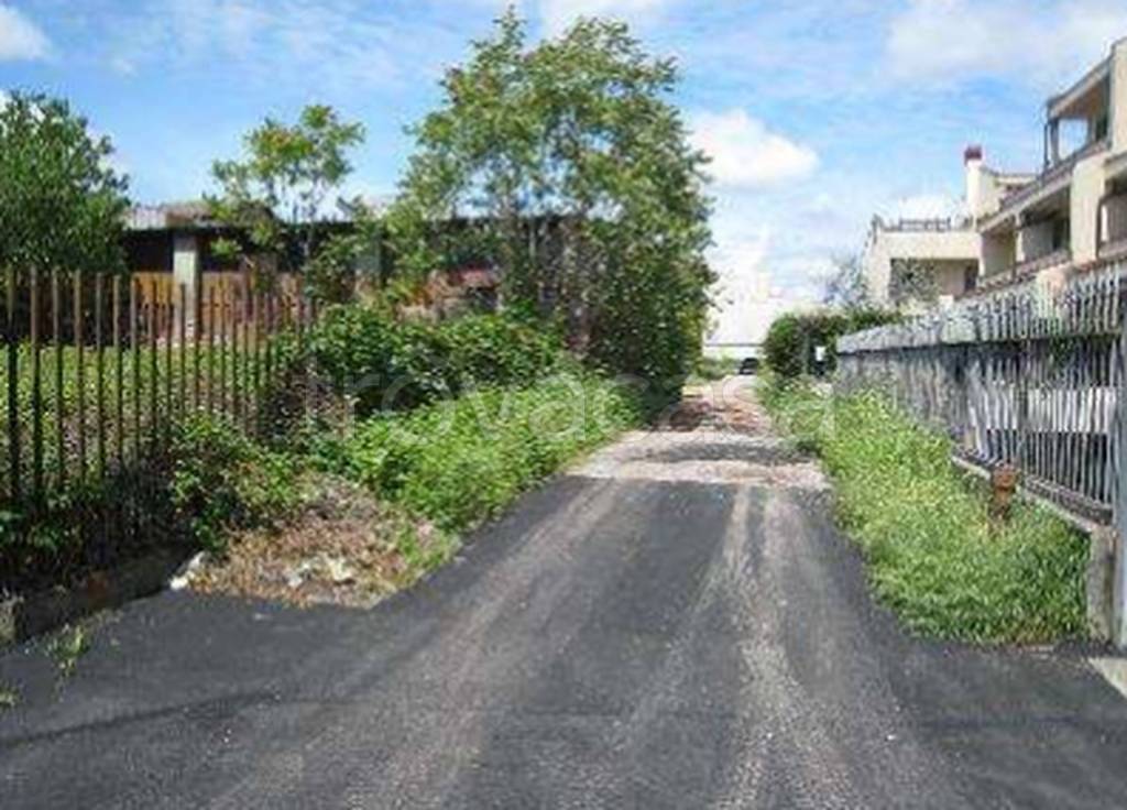 immagine annuncio 2 di 11