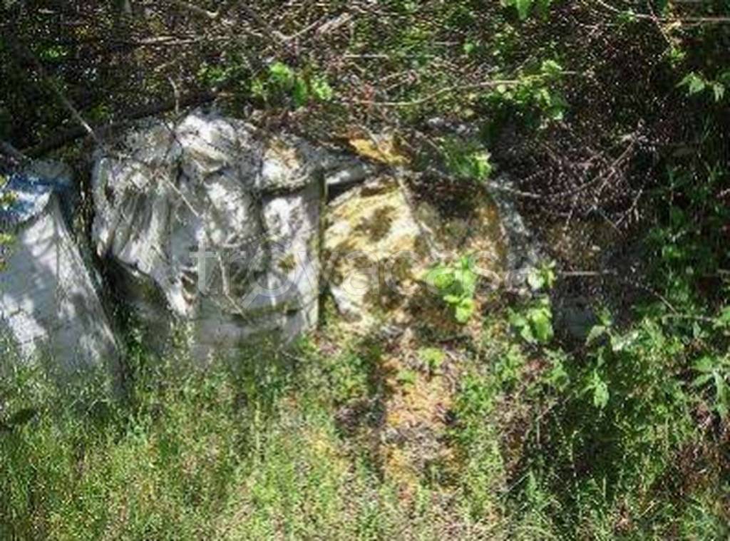 immagine annuncio 6 di 11