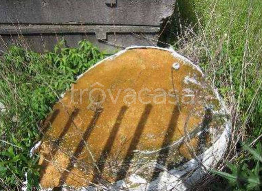 immagine annuncio 8 di 11