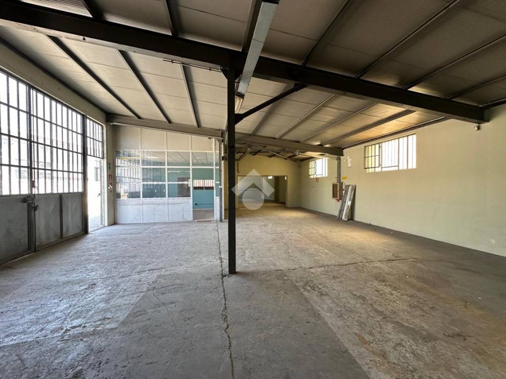 immagine annuncio 11 di 15