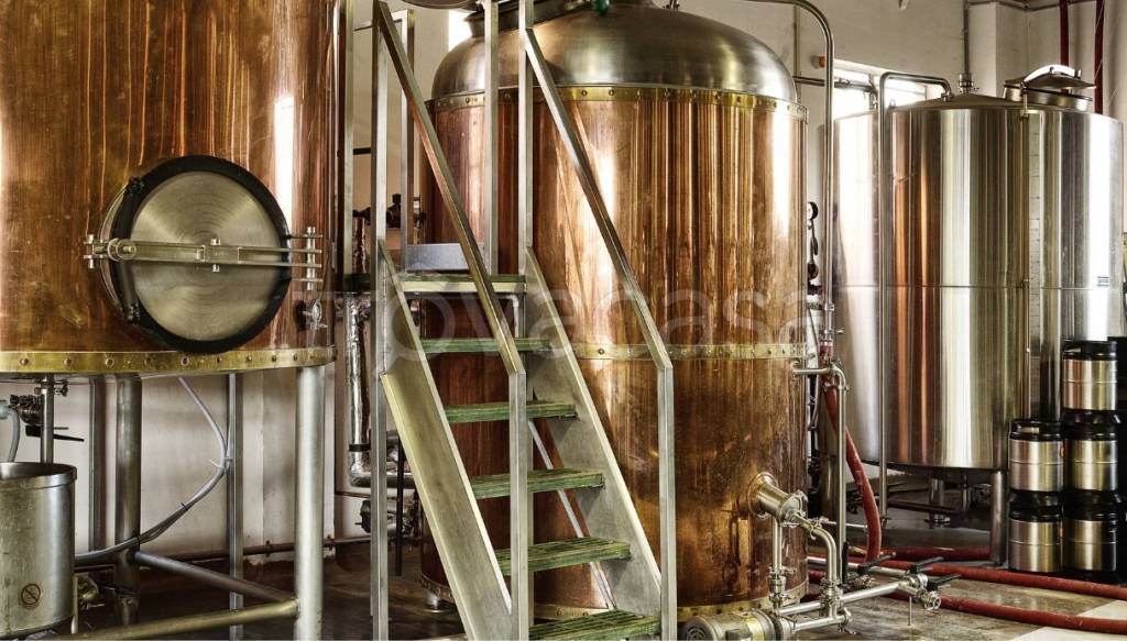 immagine annuncio 4 di 12