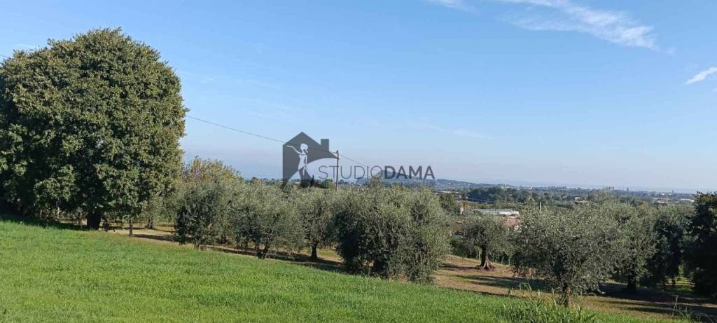 immagine annuncio 5 di 7