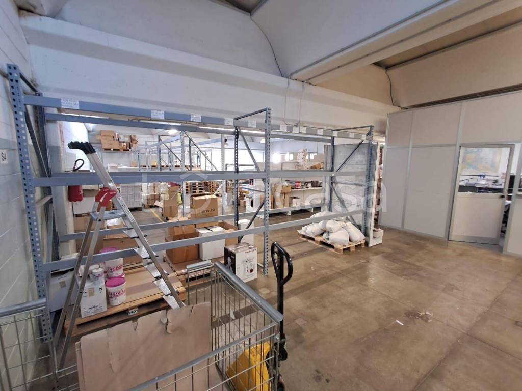 immagine annuncio 2 di 15