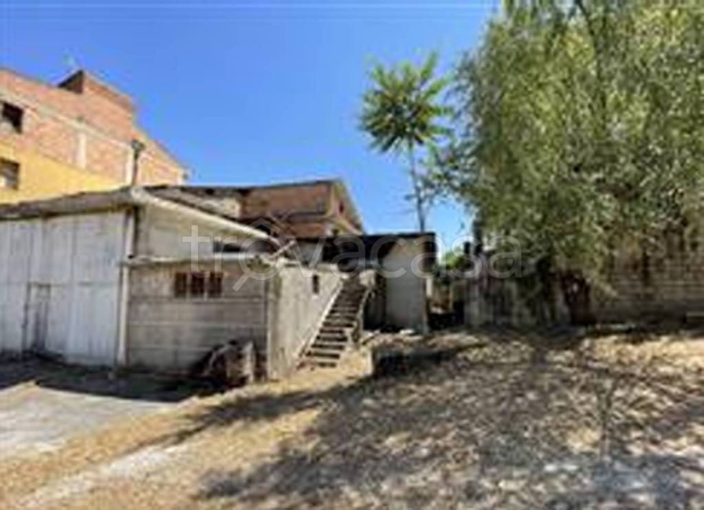 immagine annuncio 1 di 11