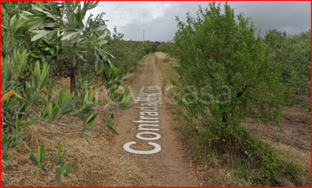 immagine annuncio 4 di 12