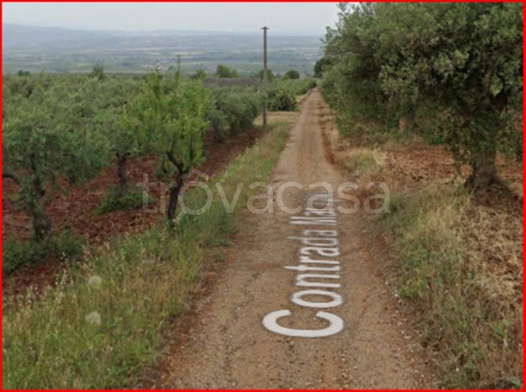 immagine annuncio 7 di 12