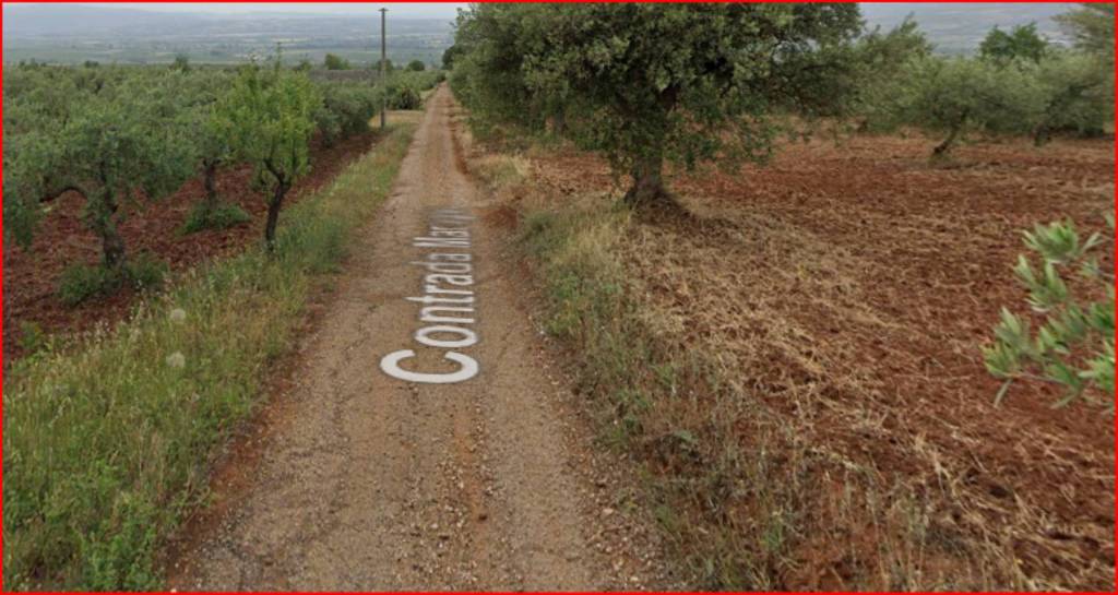 immagine annuncio 8 di 12