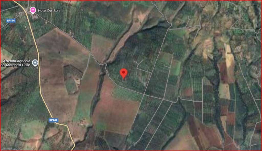 immagine annuncio 10 di 12