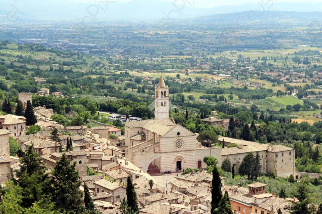 immagine annuncio 7 di 12