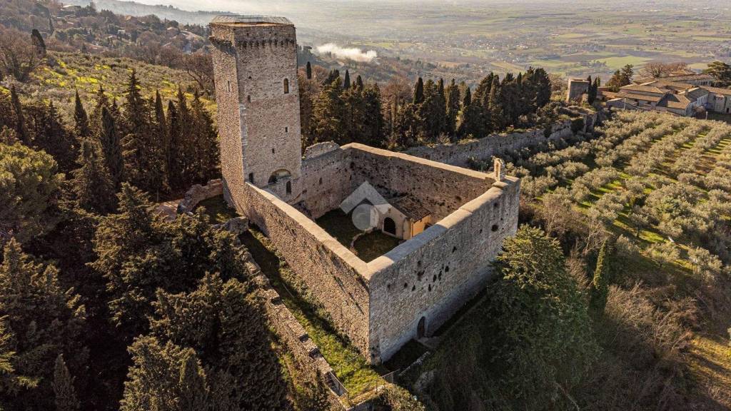 immagine annuncio 9 di 12