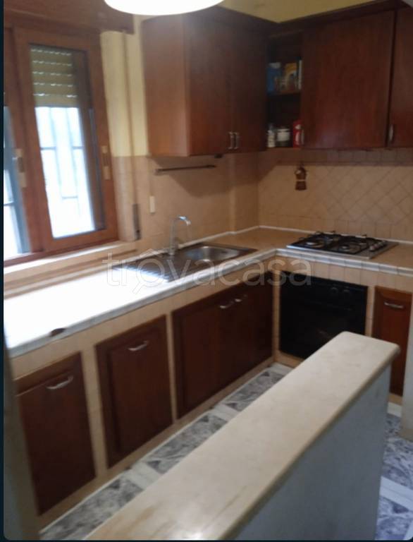 immagine annuncio 4 di 14