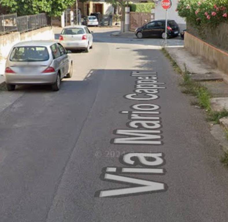 immagine annuncio 9 di 11