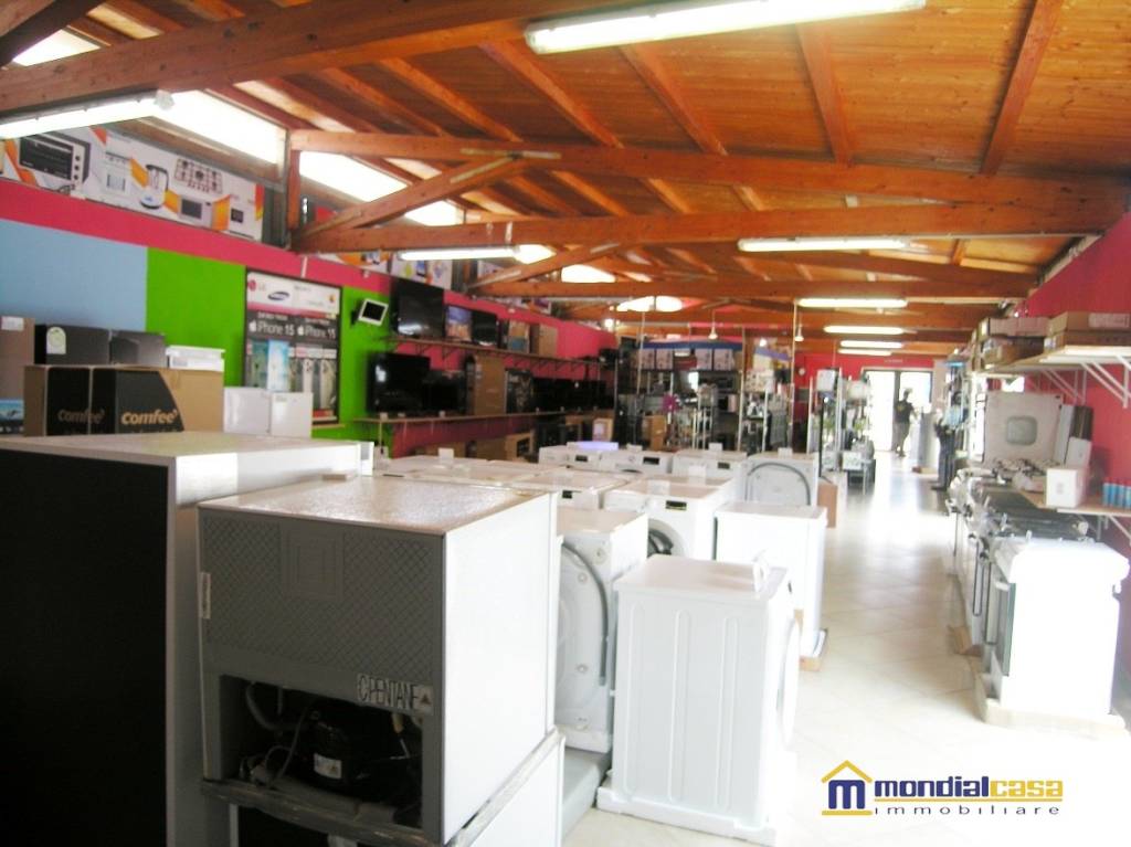 immagine annuncio 2 di 11