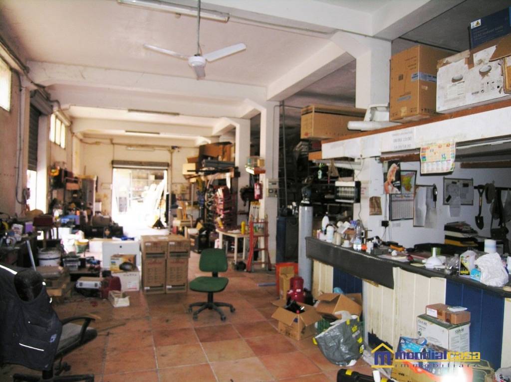 immagine annuncio 6 di 11