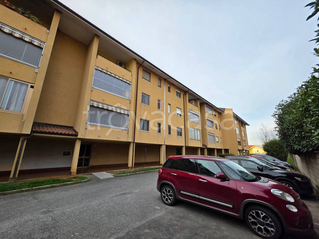 immagine annuncio 3 di 15