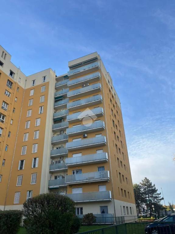 immagine annuncio 9 di 14