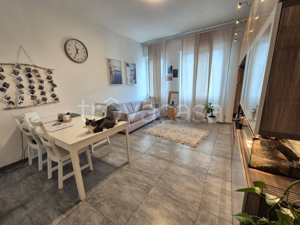 immagine annuncio 2 di 14