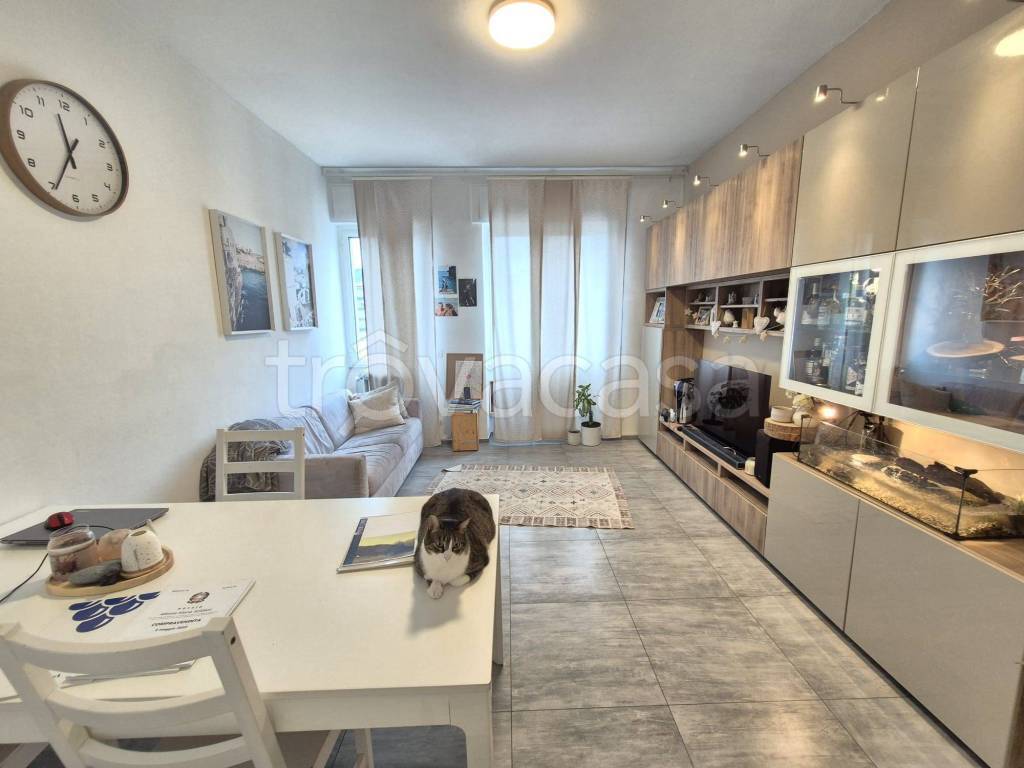 immagine annuncio 3 di 14