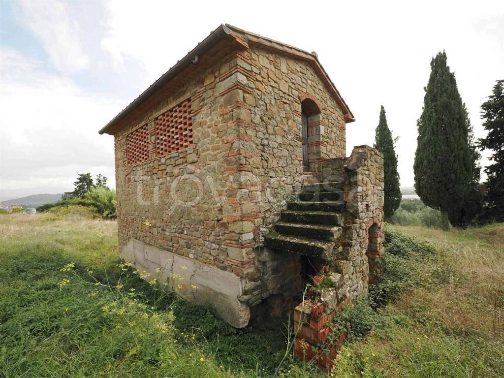 immagine annuncio 2 di 12