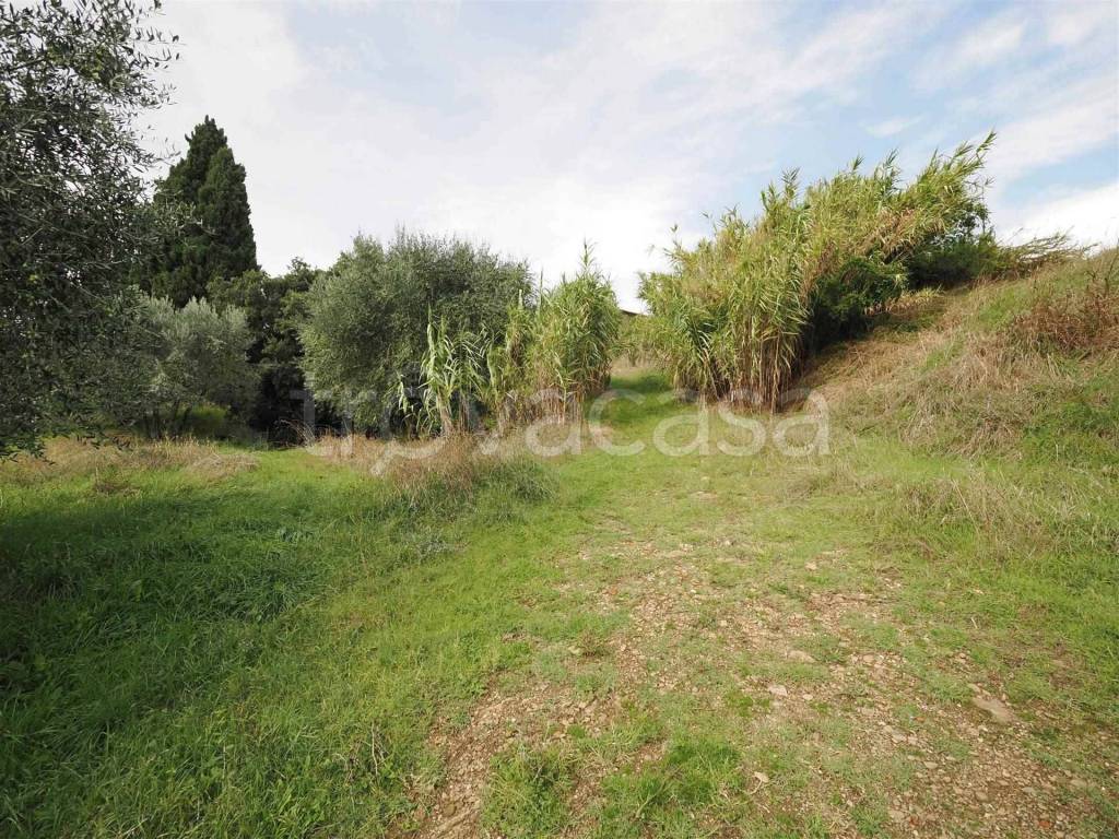 immagine annuncio 7 di 12