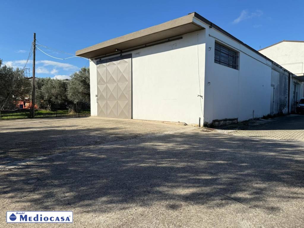 immagine annuncio 2 di 13