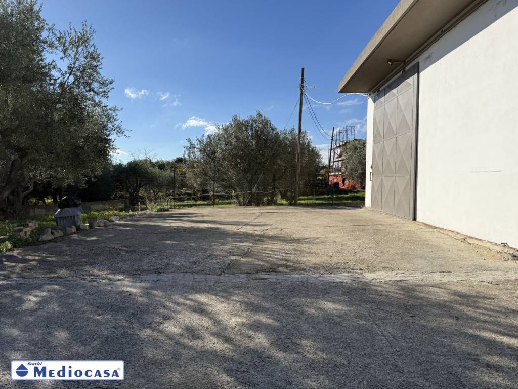 immagine annuncio 1 di 13