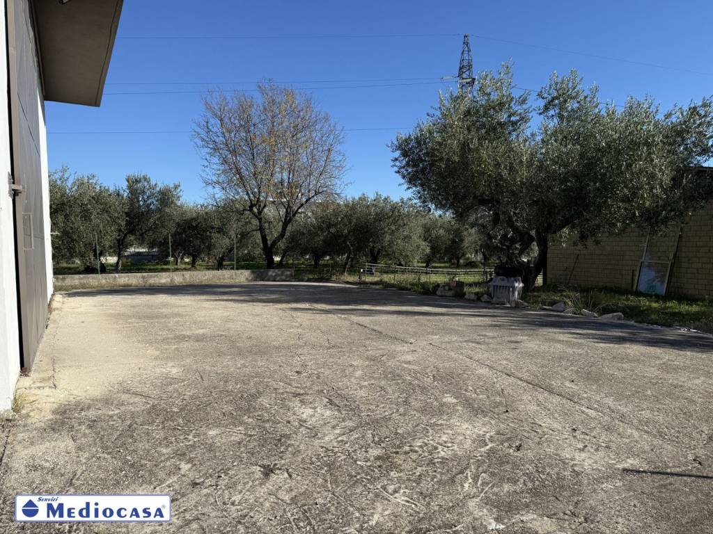 immagine annuncio 4 di 13