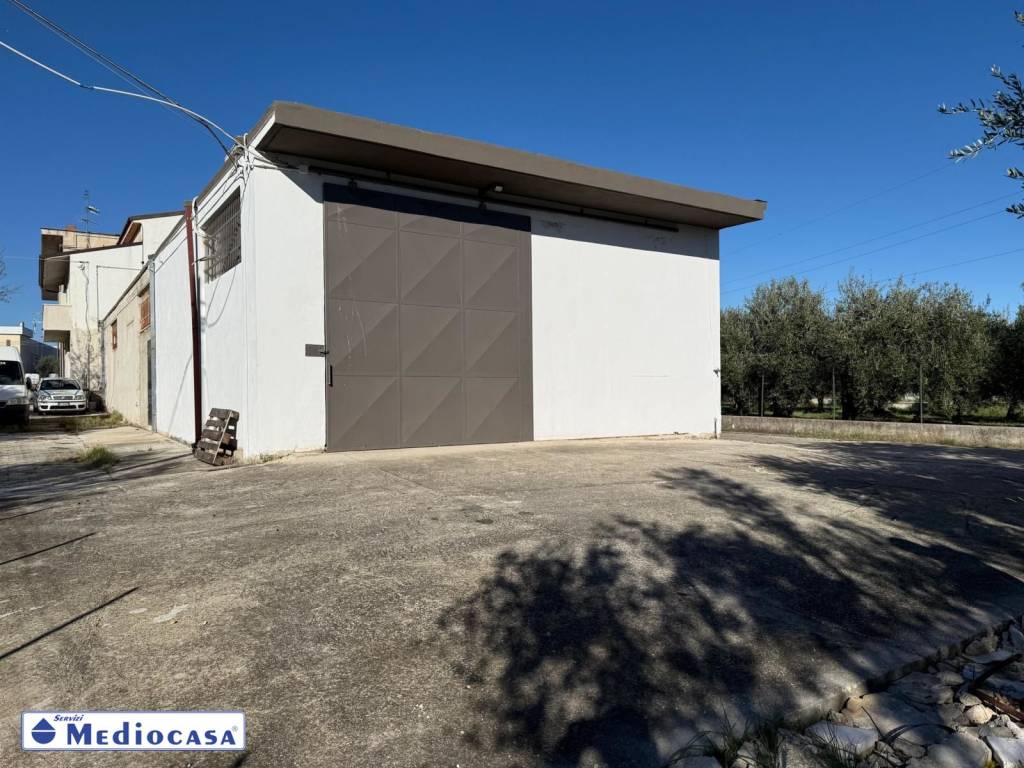 immagine annuncio 3 di 13