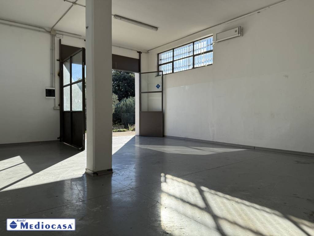 immagine annuncio 8 di 13