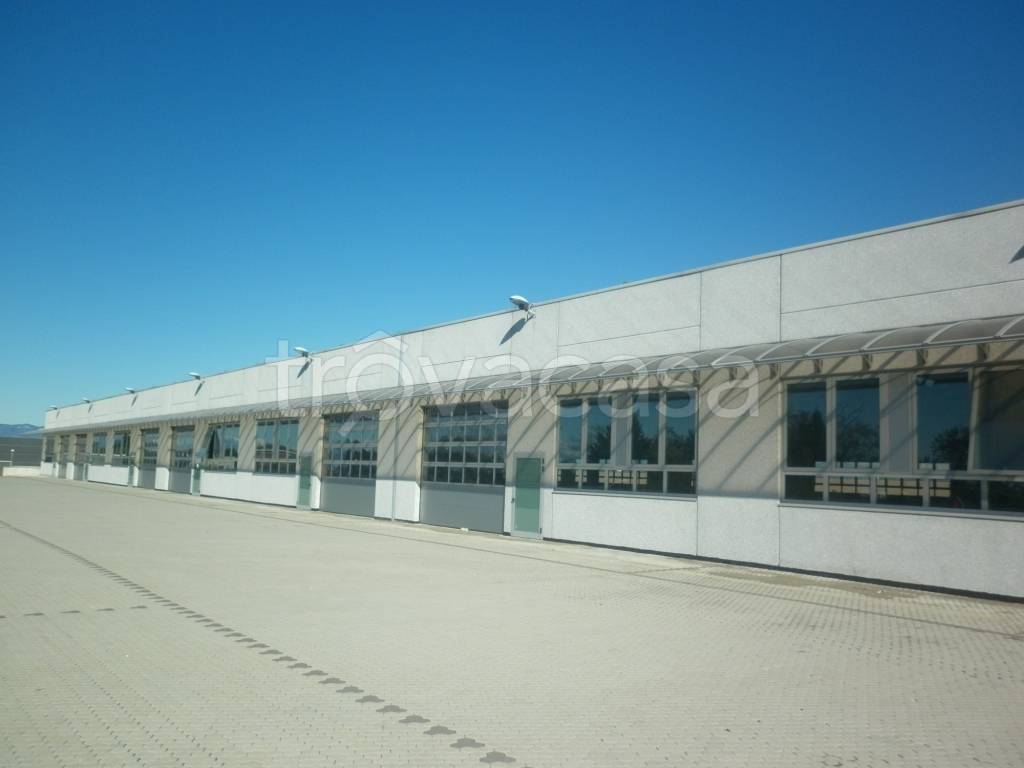 immagine annuncio 2 di 12