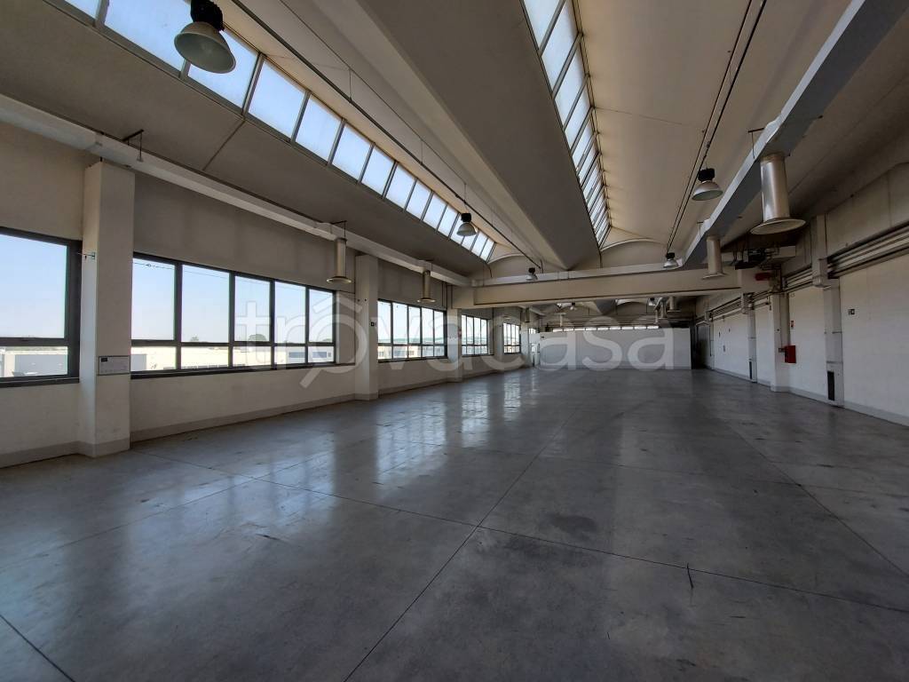 immagine annuncio 3 di 12