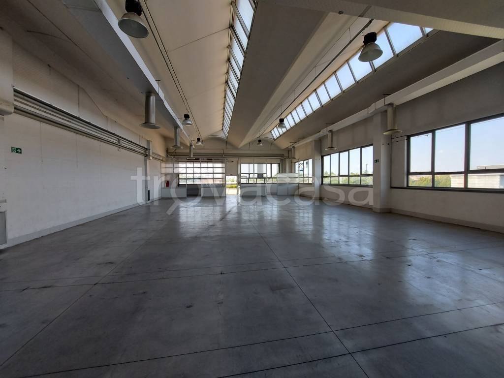 immagine annuncio 5 di 12