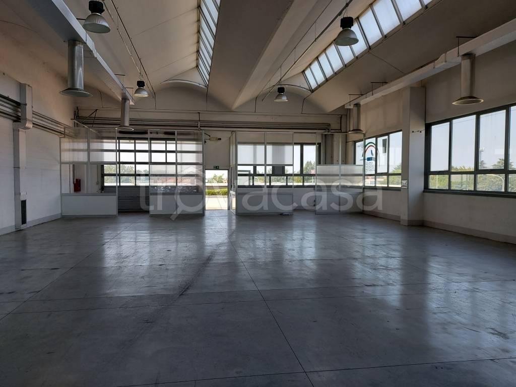 immagine annuncio 6 di 12