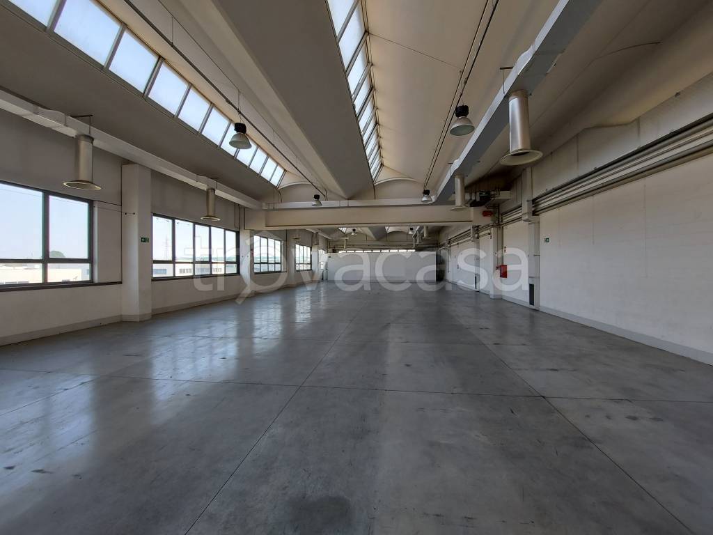 immagine annuncio 9 di 12