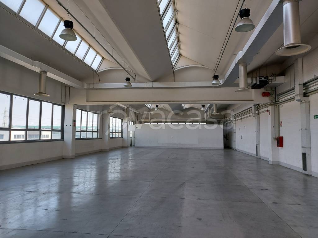 immagine annuncio 10 di 12