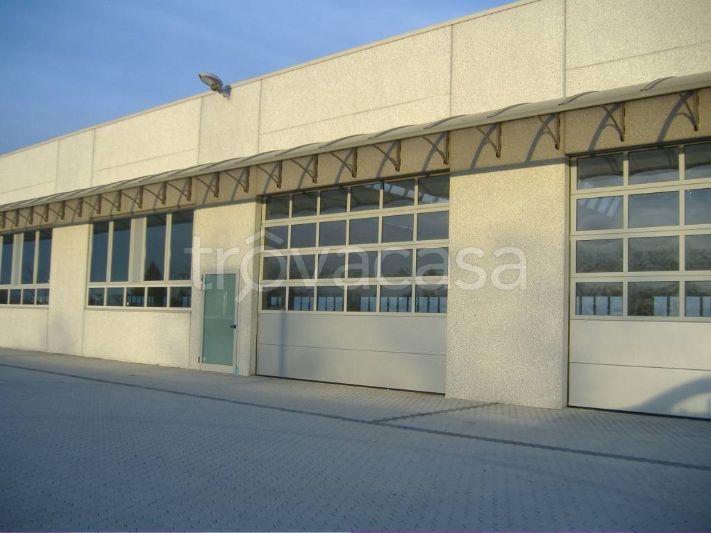 immagine annuncio 11 di 12