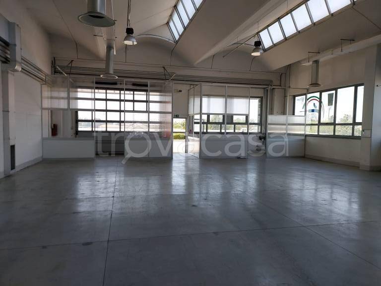 immagine annuncio 7 di 12